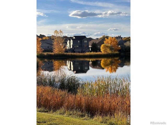 1971 Shadow Lake Court, Windsor, CO 80550