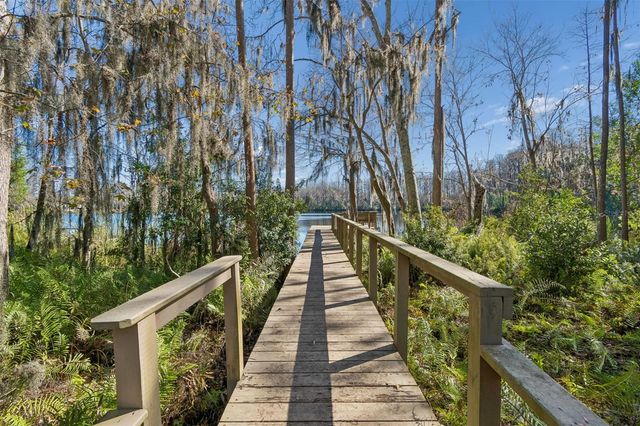 6070 DREXEL ROAD, Land O Lakes, FL 34638