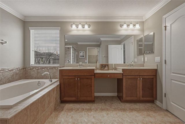 10661 PICTORIAL PARK DRIVE, Tampa, FL 33647