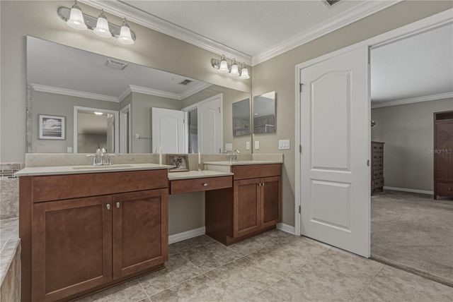 10661 PICTORIAL PARK DRIVE, Tampa, FL 33647