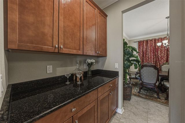 10661 PICTORIAL PARK DRIVE, Tampa, FL 33647