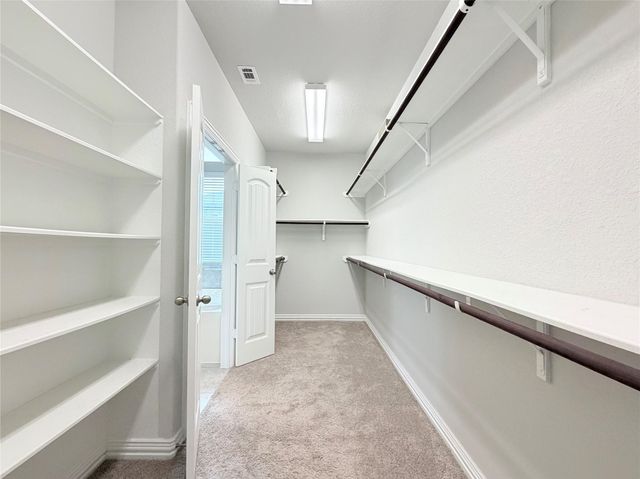 19508 Stanton Drew TRL, Pflugerville, TX 78660