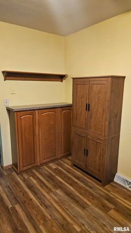 221 NEW SALEM Drive, Canton, IL 61520