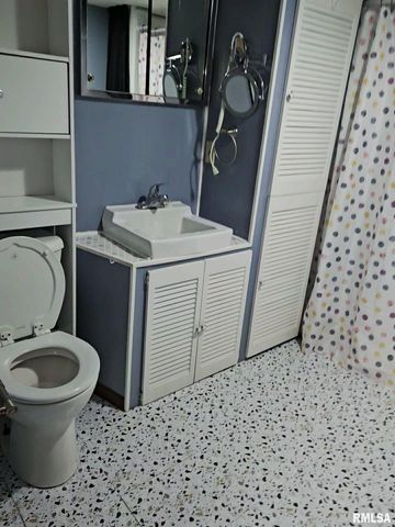 221 NEW SALEM Drive, Canton, IL 61520