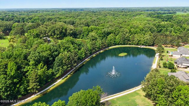 8465 Belmor Lakes Drive, Olive Branch, MS 38654