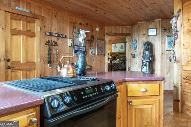 266 Enota Drive, Sautee Nacoochee, GA 30571