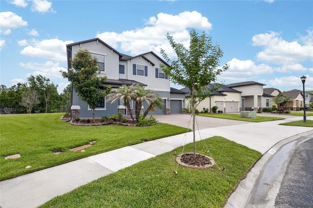 2905 HILLIARD DRIVE, Wesley Chapel, FL 33543