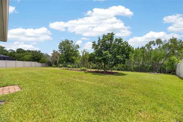2905 HILLIARD DRIVE, Wesley Chapel, FL 33543