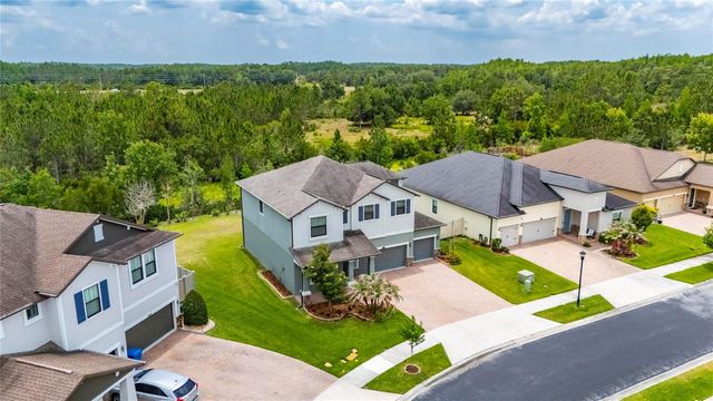 2905 HILLIARD DRIVE, Wesley Chapel, FL 33543