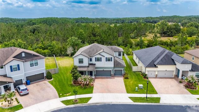 2905 HILLIARD DRIVE, Wesley Chapel, FL 33543