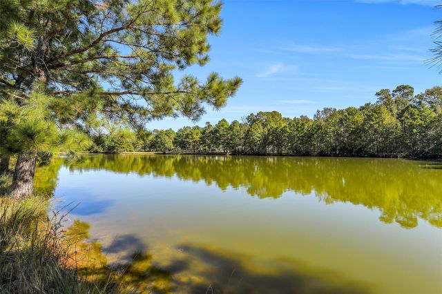 32711 Tall Oaks Way, Magnolia, TX 77354