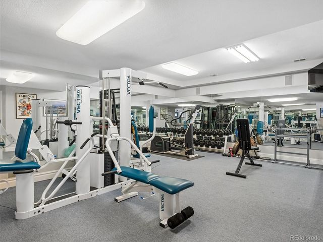 23767 Rockrose Drive, Golden, CO 80401