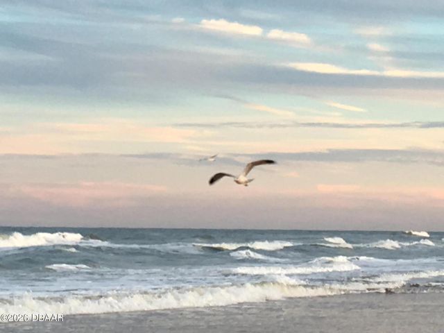 1415 Ocean Shore Blvd Apt 205, Ormond Beach, FL 32176