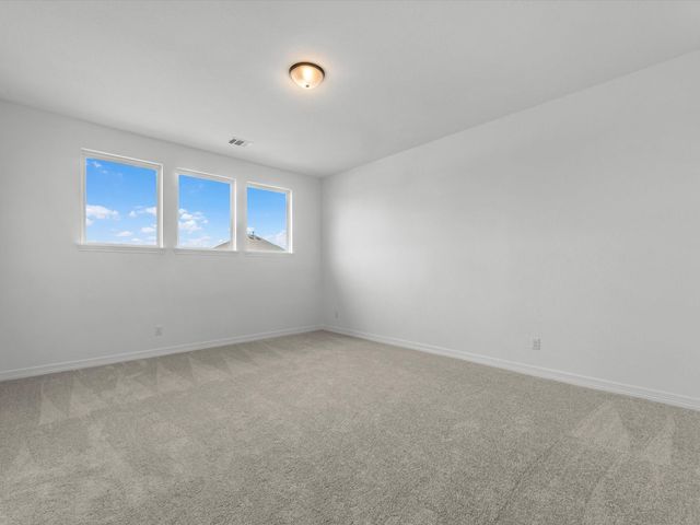 30910 Pigeon Valley Drive, Waller, TX 77484