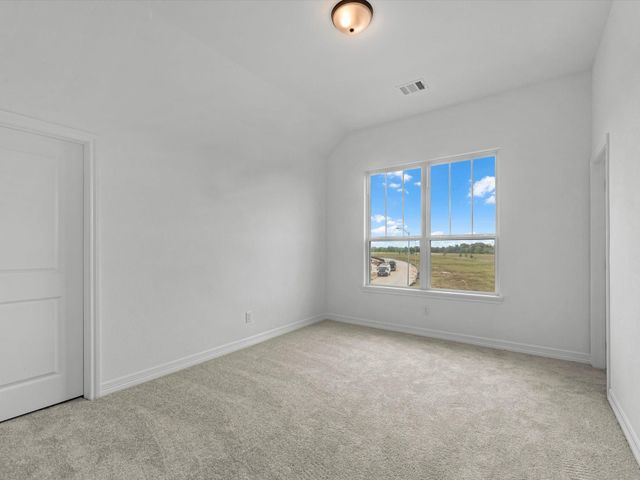 30910 Pigeon Valley Drive, Waller, TX 77484
