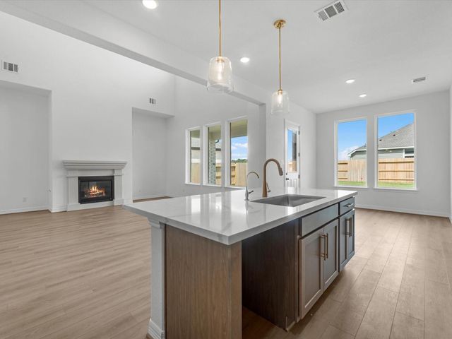 30910 Pigeon Valley Drive, Waller, TX 77484