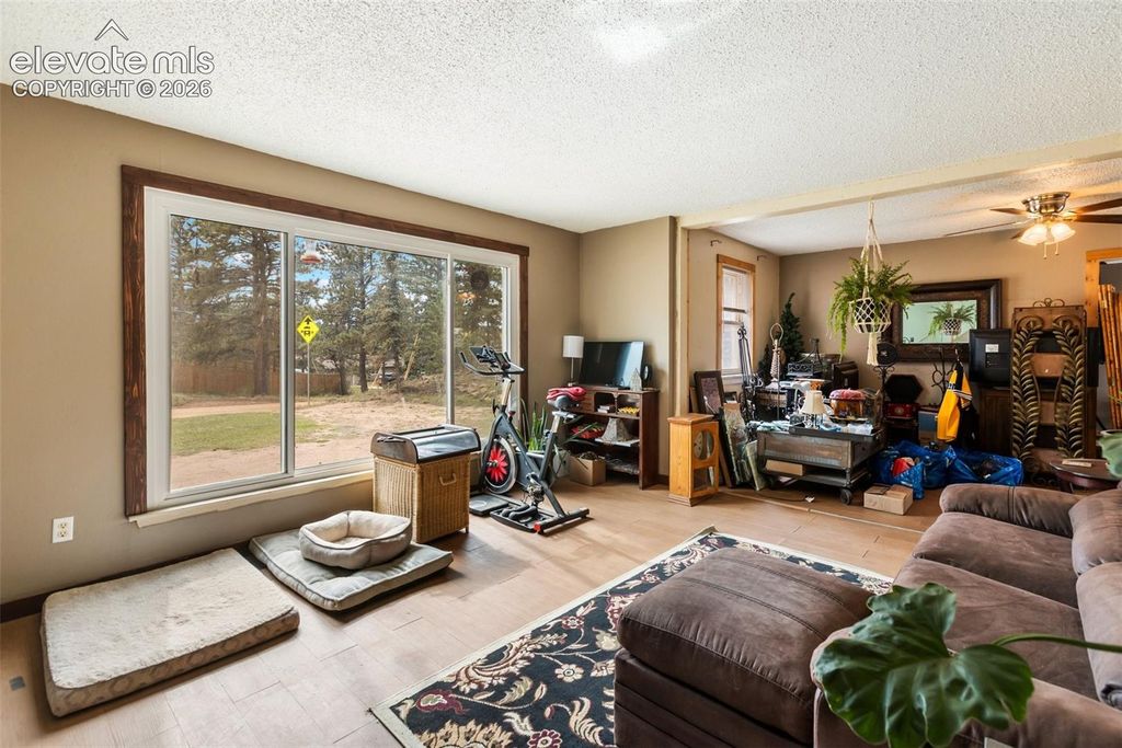 20 Westwood Drive, Woodland Park, CO 80863 — photo 4