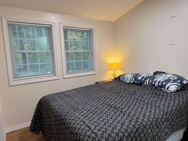 17 Amidon Lane, Tamworth, NH 03886