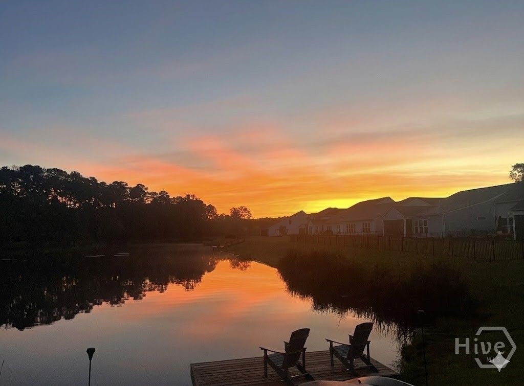 Image 66 of property listing at 268 Heron Creek Drive, Richmond Hill, GA 31324