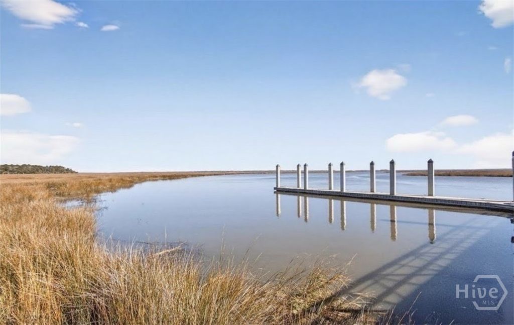 Image 72 of property listing at 268 Heron Creek Drive, Richmond Hill, GA 31324