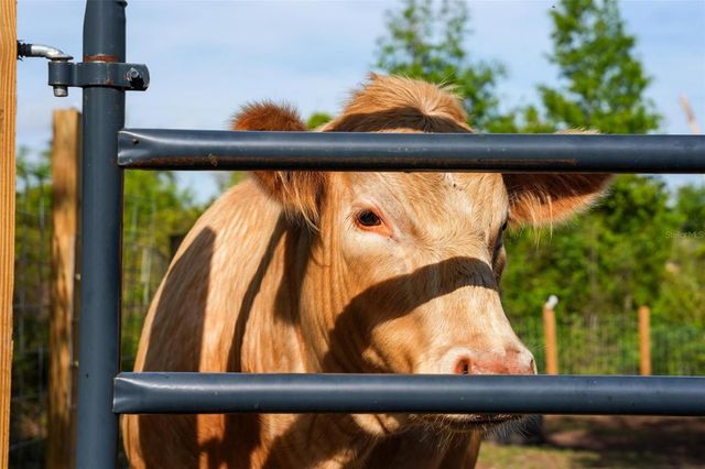 150 CATALINA DRIVE, Debary, FL 32713