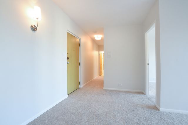 1333 W TOUHY Avenue 301, Park Ridge, IL 60068
