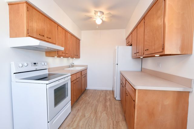 1333 W TOUHY Avenue 301, Park Ridge, IL 60068