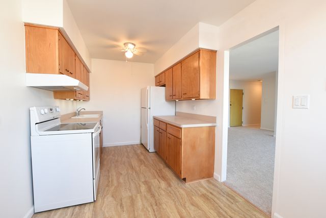 1333 W TOUHY Avenue 301, Park Ridge, IL 60068