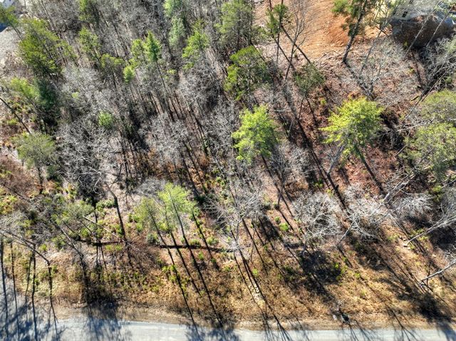 lot 16 Mountain Laurel Ridge, Mineral Bluff, GA 30559