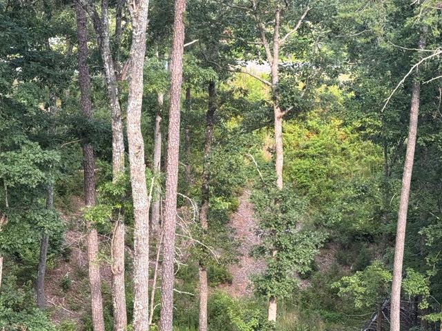lot 16 Mountain Laurel Ridge, Mineral Bluff, GA 30559