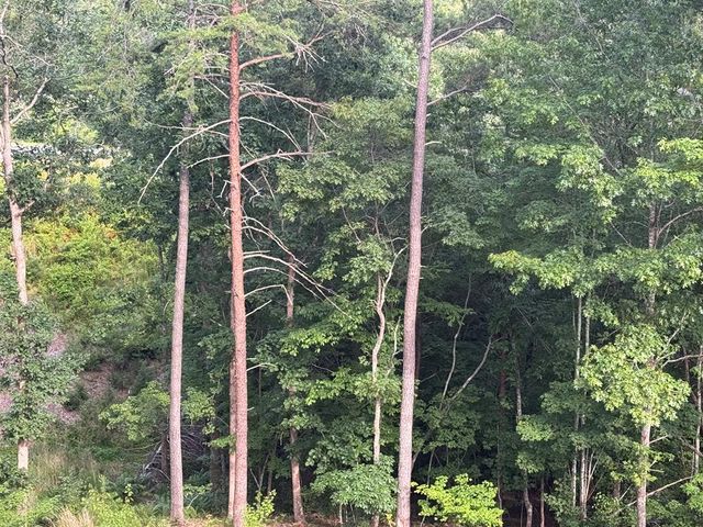 lot 16 Mountain Laurel Ridge, Mineral Bluff, GA 30559