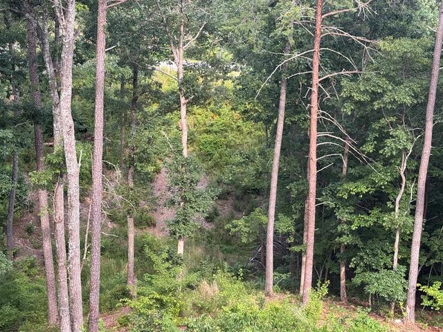 lot 16 Mountain Laurel Ridge, Mineral Bluff, GA 30559