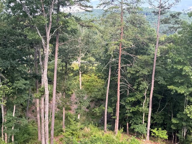 lot 16 Mountain Laurel Ridge, Mineral Bluff, GA 30559