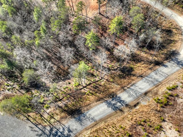 lot 16 Mountain Laurel Ridge, Mineral Bluff, GA 30559