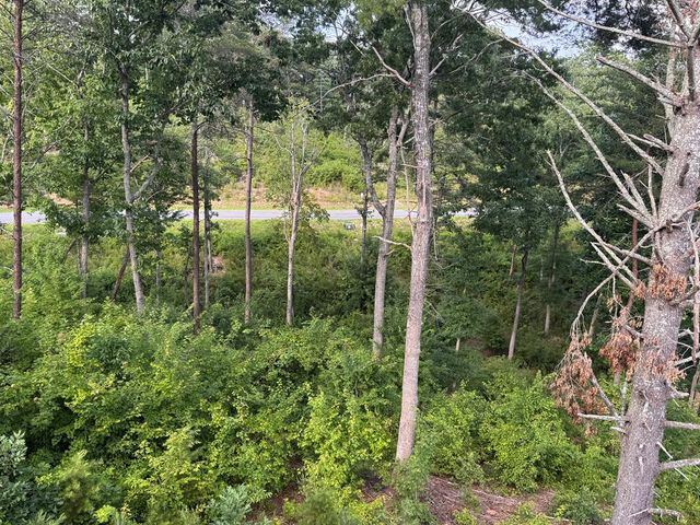 lot 16 Mountain Laurel Ridge, Mineral Bluff, GA 30559