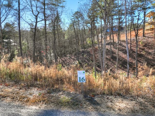 lot 16 Mountain Laurel Ridge, Mineral Bluff, GA 30559