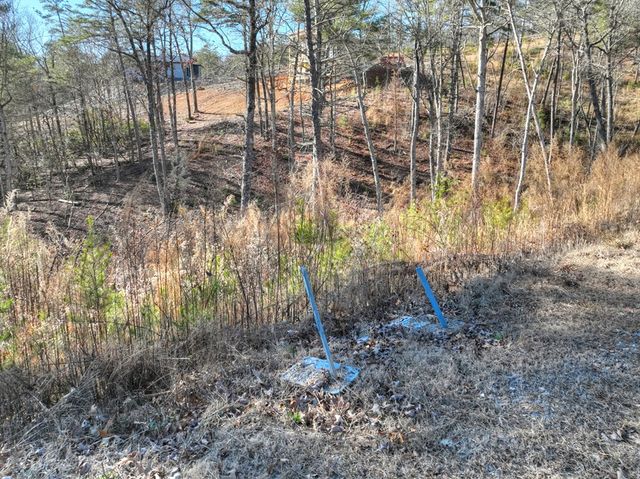 lot 16 Mountain Laurel Ridge, Mineral Bluff, GA 30559