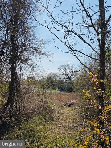 2302 LIGHTHOUSE VIEW DR, Heathsville, VA 22473