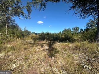 0 Waynesboro Hwy, Sylvania, GA 30467