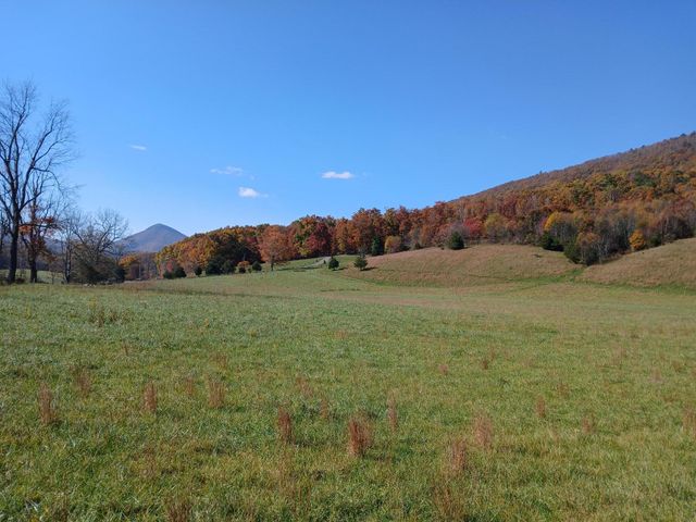 5110 Rich Patch RD, Covington, VA 24426