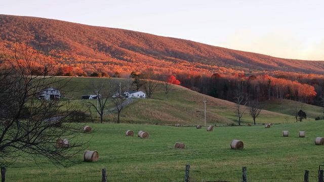 5110 Rich Patch RD, Covington, VA 24426