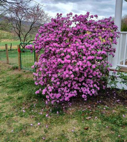 5110 Rich Patch RD, Covington, VA 24426