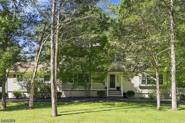 20 Preston Ter, Bedminster Twp., NJ 07921