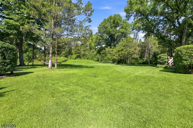20 Preston Ter, Bedminster Twp., NJ 07921