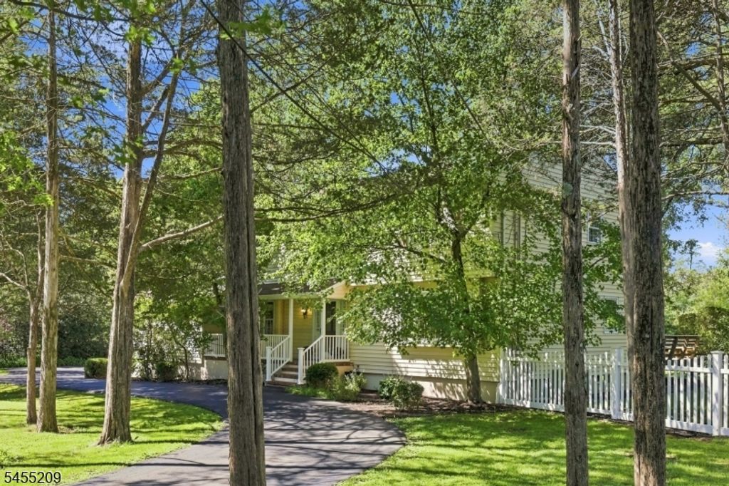 20 Preston Ter, Bedminster Twp., NJ 07921