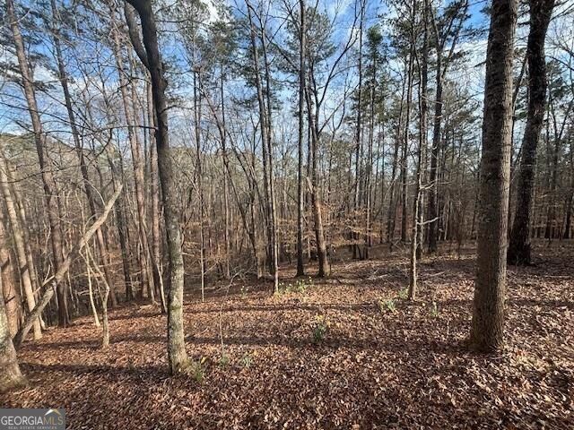 305 Michael Circle, Canton, GA 30114