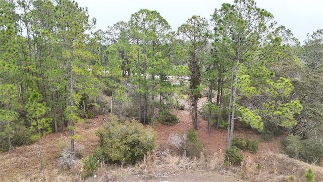 1256 WAHNETA DRIVE, Kissimmee, FL 34759