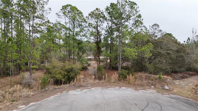 1256 WAHNETA DRIVE, Kissimmee, FL 34759