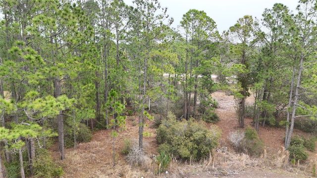 1256 WAHNETA DRIVE, Kissimmee, FL 34759