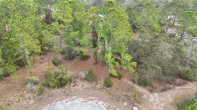 1256 WAHNETA DRIVE, Kissimmee, FL 34759